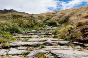 Inka Trail - Inkawege