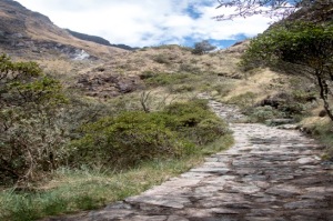 Inka Trail 